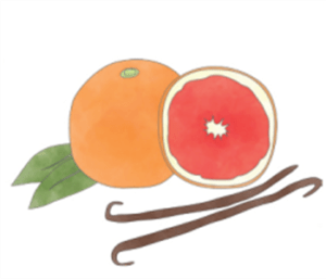 Cara-Cara Orange Vanilla White Balsamic