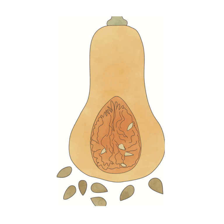 Butternut Squash Seed Oil Oliva!